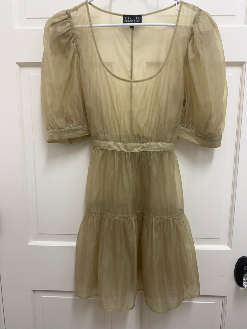 Danielle Bernstein Organza Dress! Beautiful!